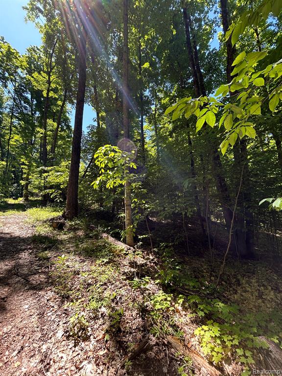 VL Smith Lake Road, Mancelona, MI 49659 — front exterior