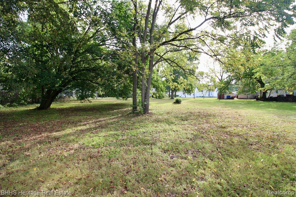 119 ANDRES Street, Chesaning, MI 48616 — Photo 6