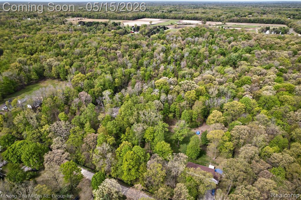 22530 Bohn Road, Belleville, MI 48111 — Photo 4