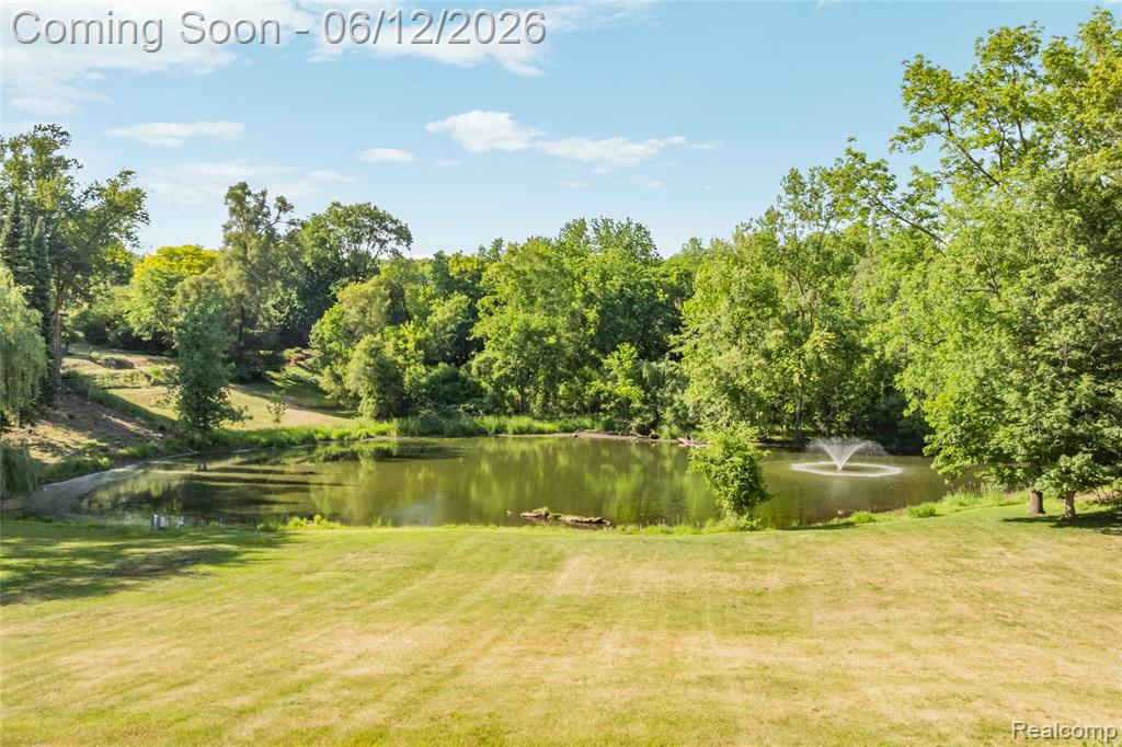 905 Spring Drive, Northville, MI 48167 — Photo 92