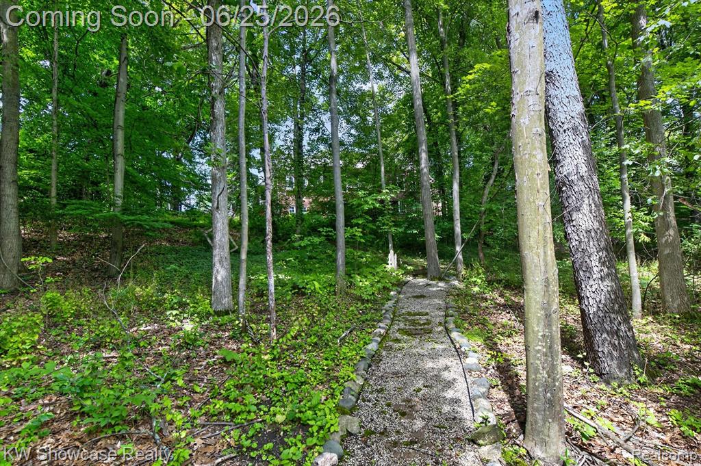 11073 Sandy Creek Drive, South Lyon, MI 48178 — Photo 60