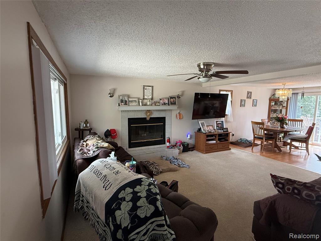 11245 Cedar Road, Lake, MI 48632 — Photo 9