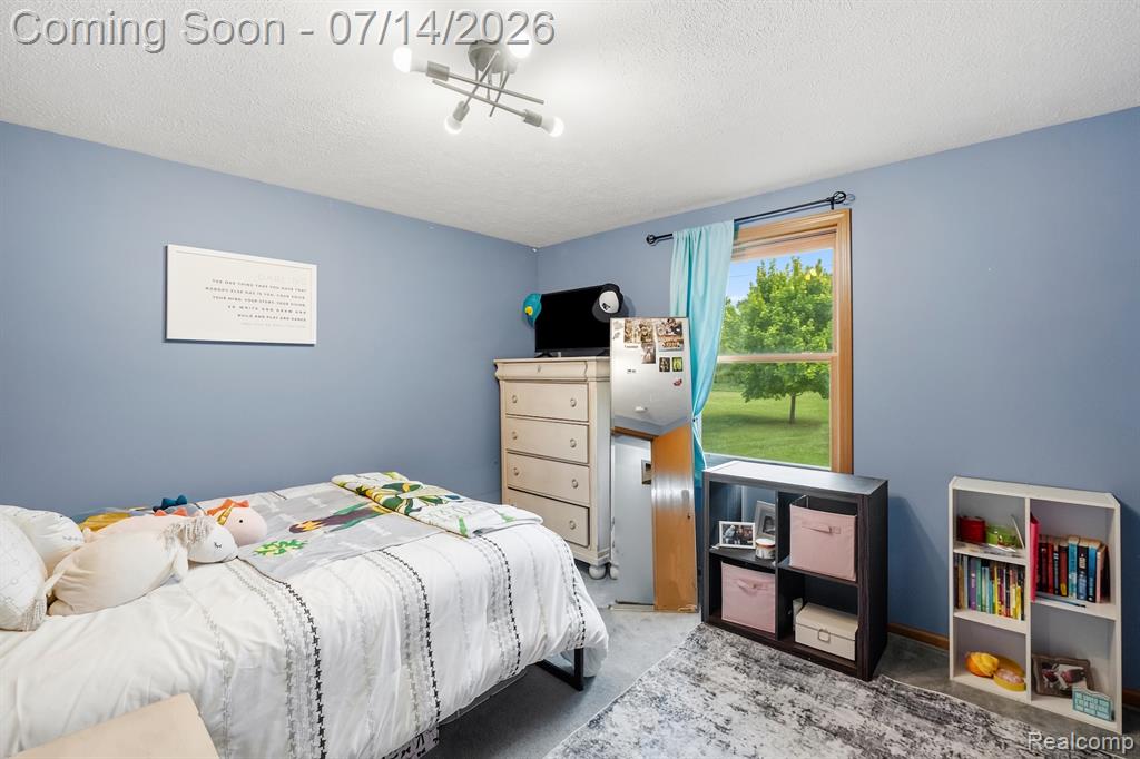 5891 Campbell Corners Drive, Howell, MI 48855 — Photo 19