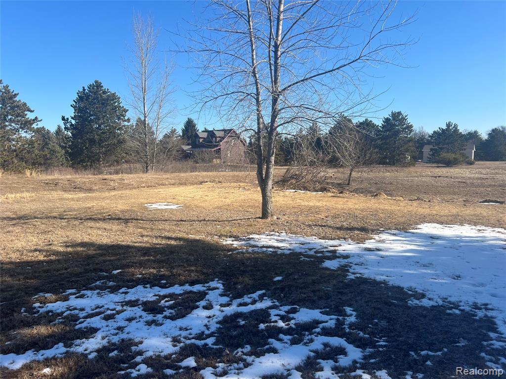 VL Mertz Rd, Mayville Vlg, MI 48744 — Photo 6