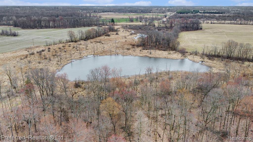 2451 HOG CREEK Road, Allen, MI 49227 — Photo 27