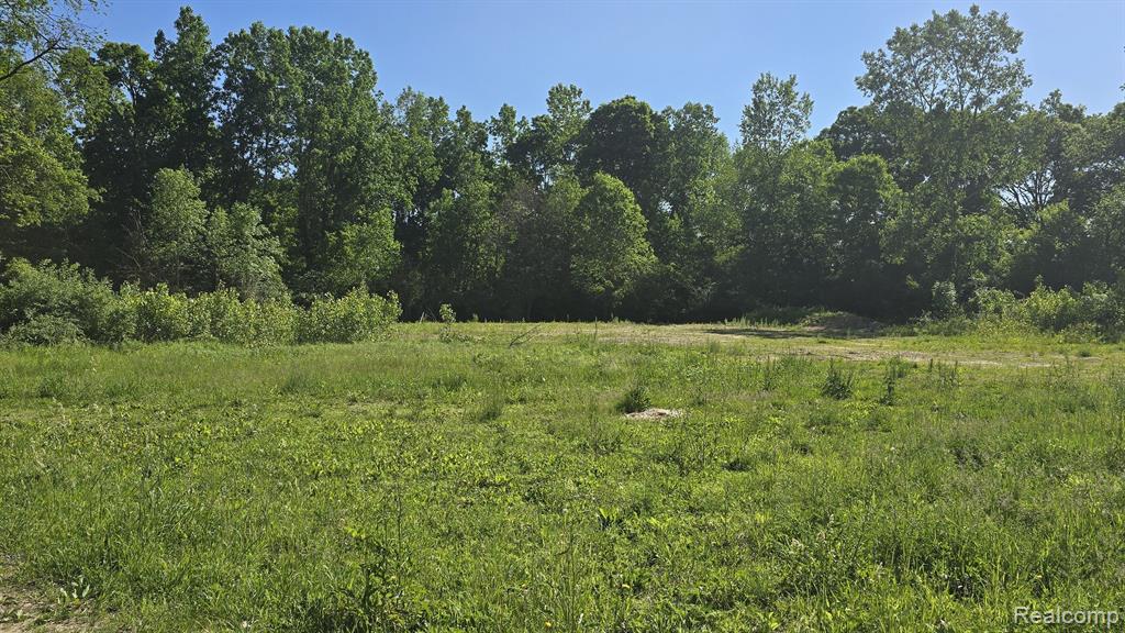 4545 Dexter Pinckney, Dexter, MI 48130 — Photo 13