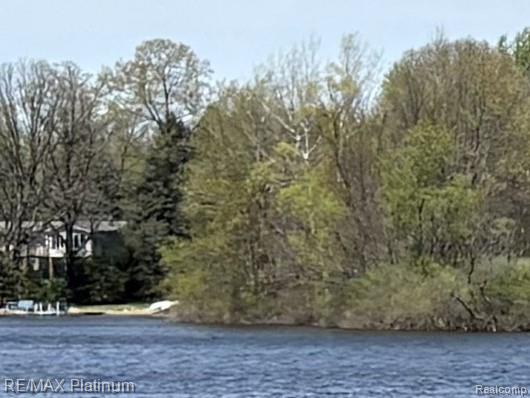 Transfer Parcel A Edgemont Drive, Howell, MI 48855 — Photo 5