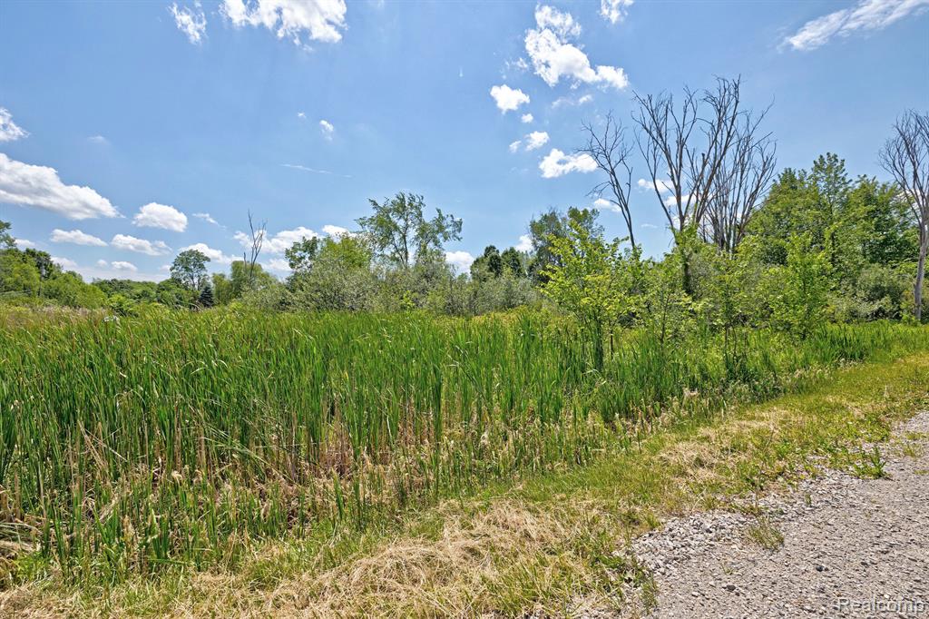 Vacant Land Brandt Road, Ortonville, MI 48462 — Photo 20