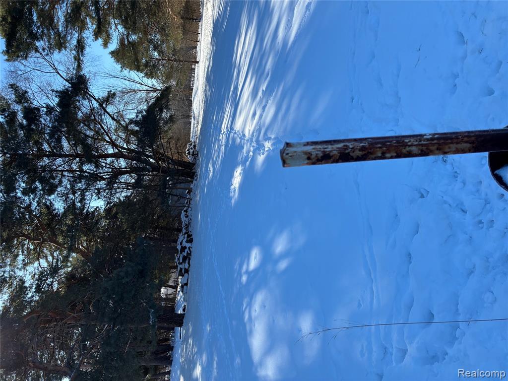 4793 Seeger Street, Cass City, MI 48726 — Photo 13