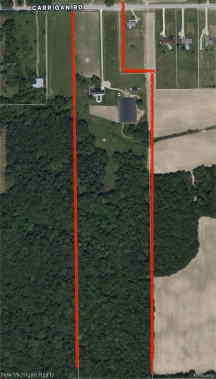 5155 CARRIGAN Road, Clyde, MI 48049 — Photo 3