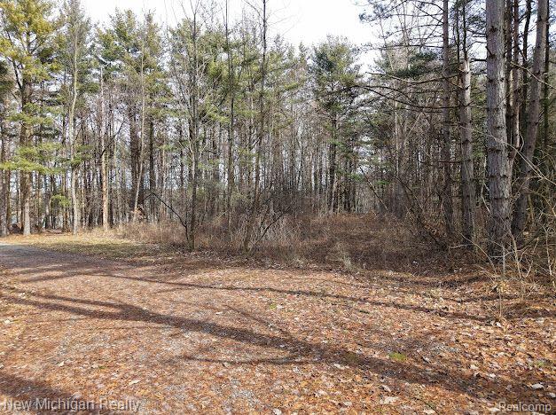 11461 WHITE LAKE Road, Fenton, MI, 48430