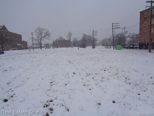 2736 ROCHESTER Street, Detroit, MI 48206 — Photo 8