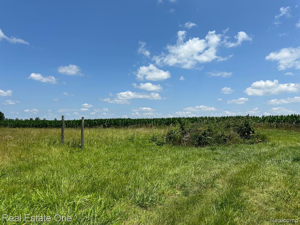 8691 PECK Road, Marlette, MI 48453 — Photo 9