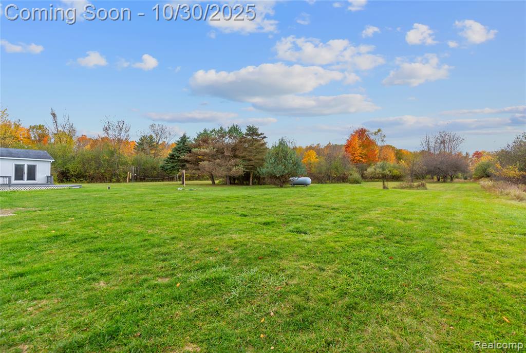 7777 Jordan Road, Yale, MI 48097 — Photo 36