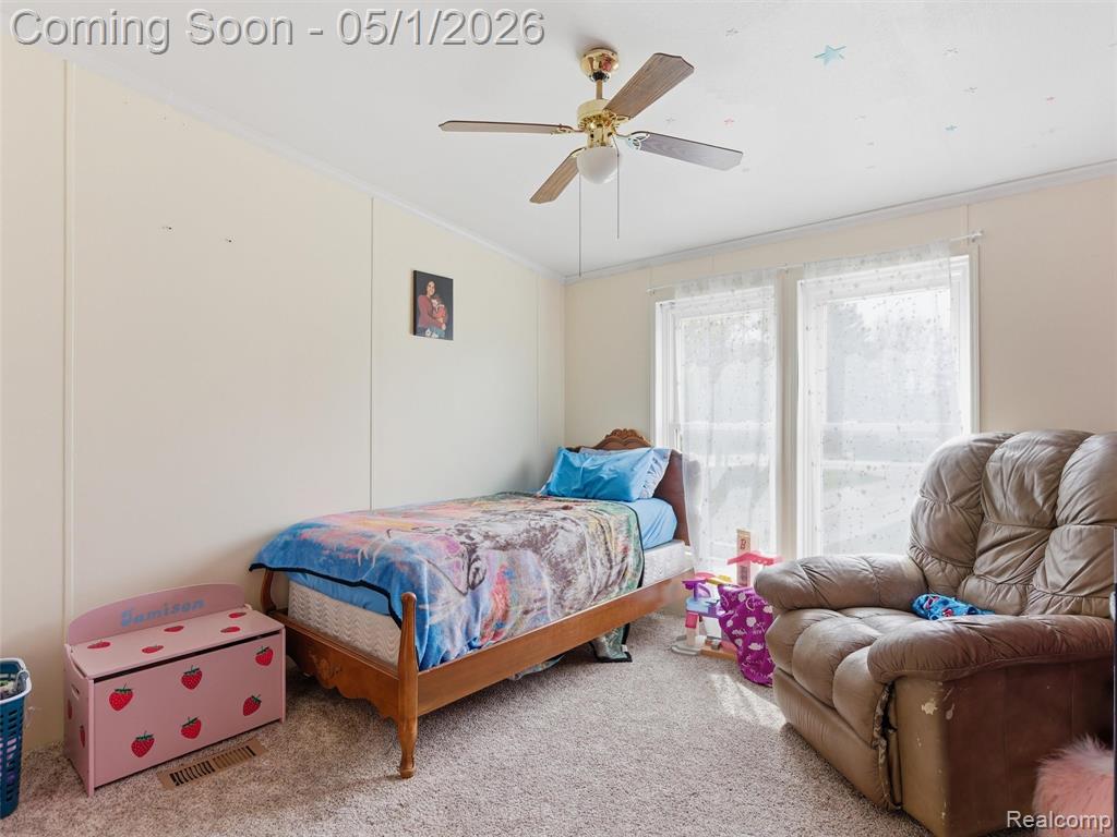 616 N Blacks Corners Road, Imlay City, MI 48444 — Photo 22