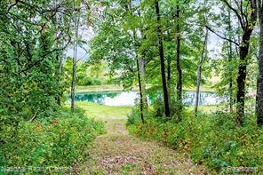 4894 Indian Creek Drive, Jackson, MI 49201 — Photo 4