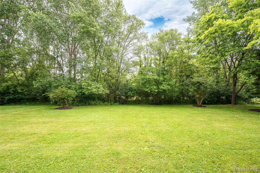 7509 Lake Street, Dexter, MI 48130 — Photo 8