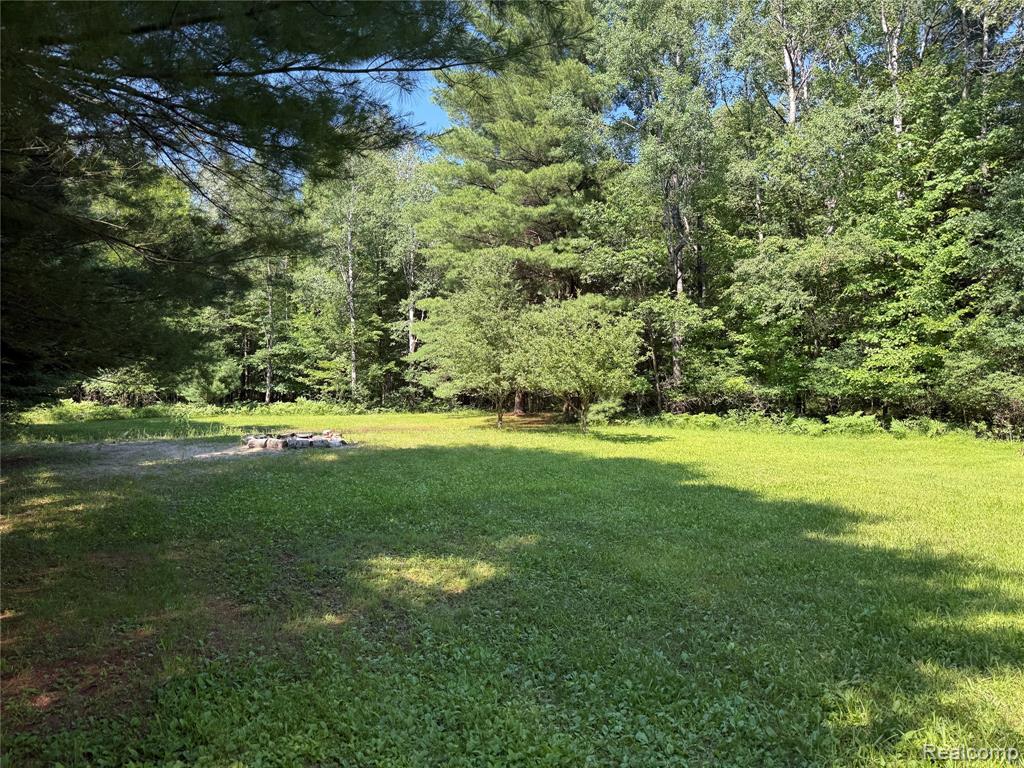 1501 Michael Drive, Alger, MI 48610 — Photo 8