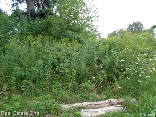 13281 GABLE Street, Hamtramck, MI, 48212