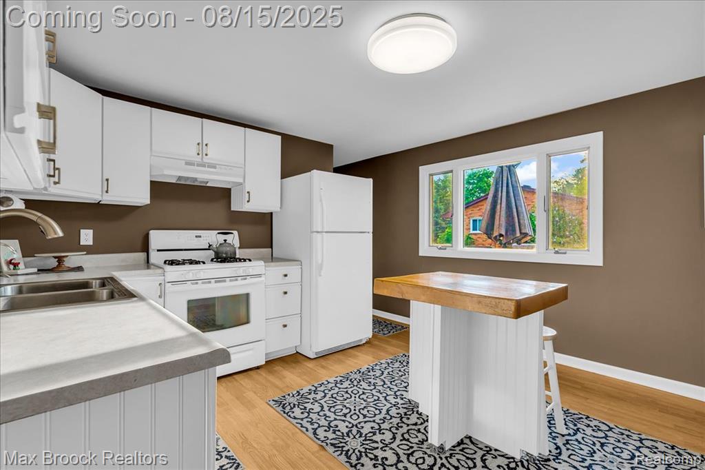 415 W Lake Street, South Lyon, MI 48178 — Photo 11