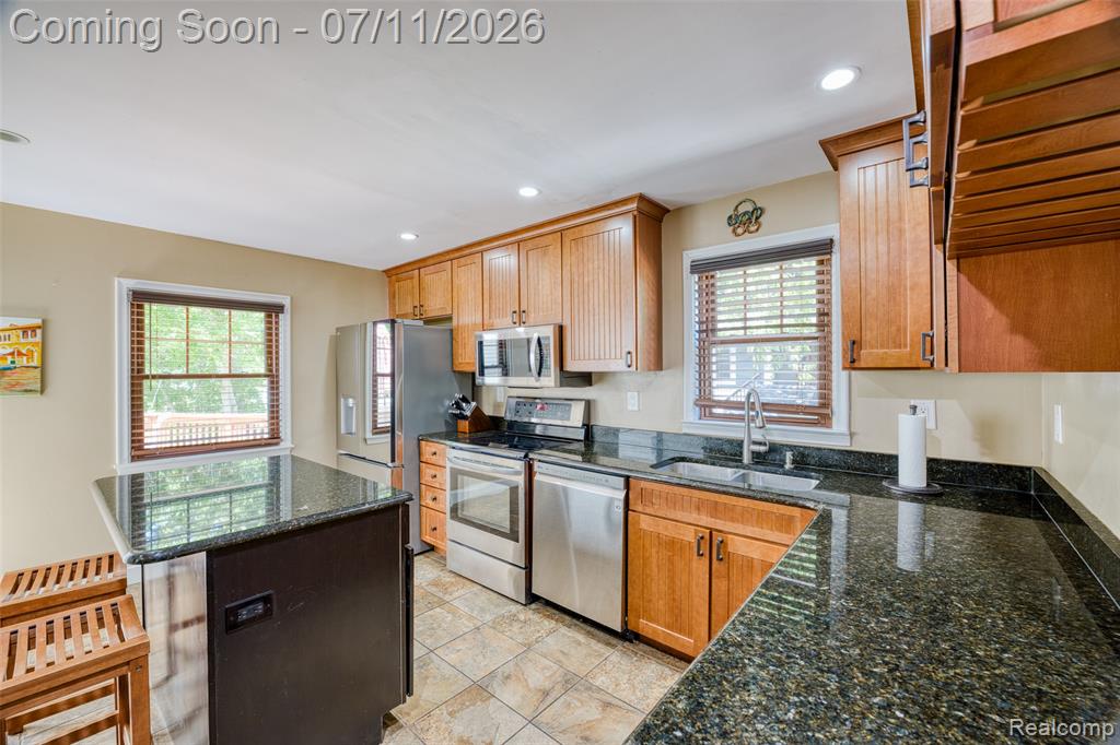 904 N Michigan Avenue, Howell, MI 48843 — Photo 21