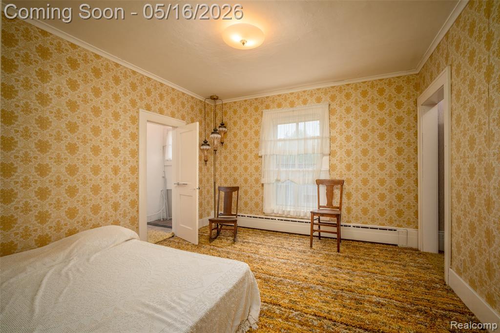 207 N Pine River Street, Ithaca, MI 48847 — Photo 28