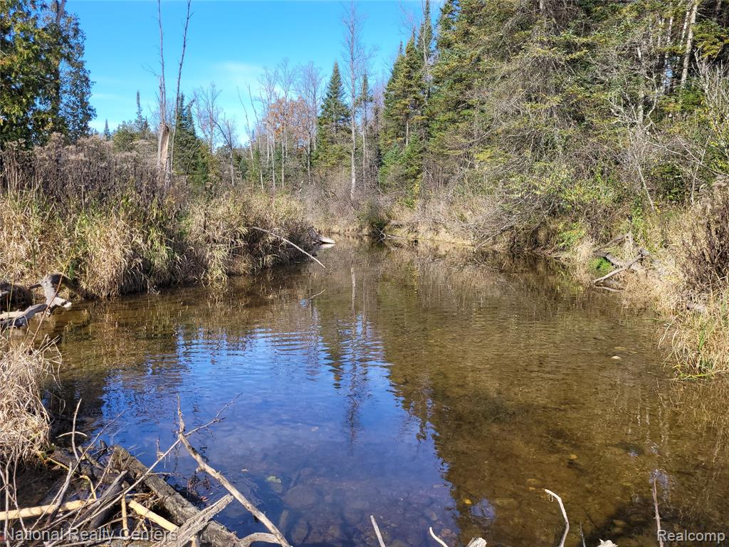 8109 M 55, Whittemore, MI 48770 — Photo 4