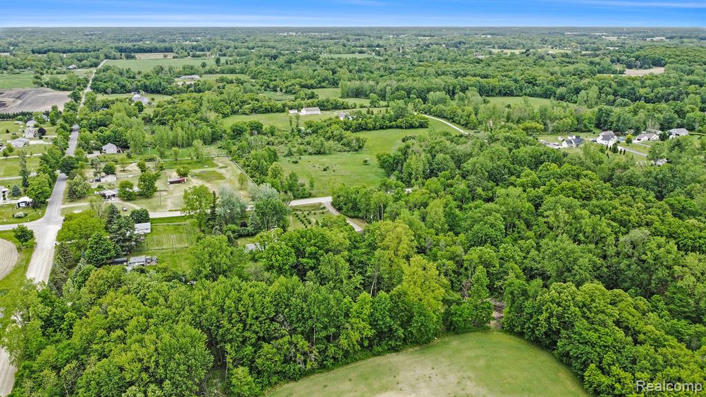 11851 Mason Road, Webberville, MI 48892 — Photo 30