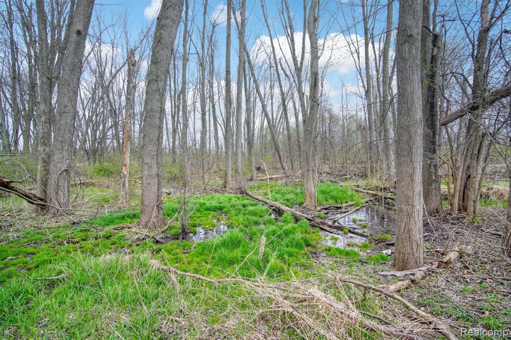 5035 CENTER Road, Linden, MI 48451 — Photo 43