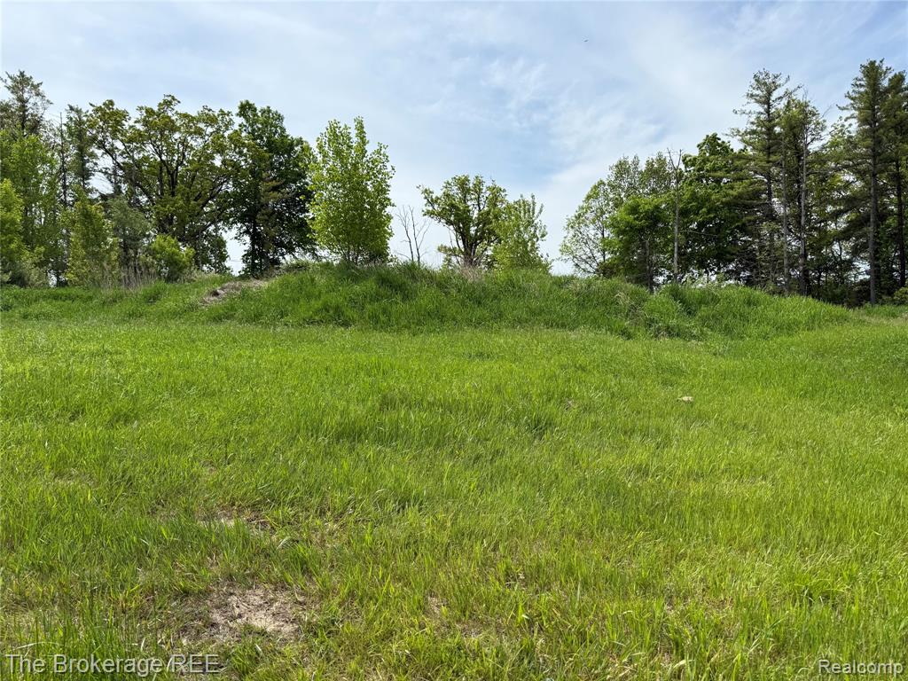 3020 Merwin Road, Lapeer, MI, 48446