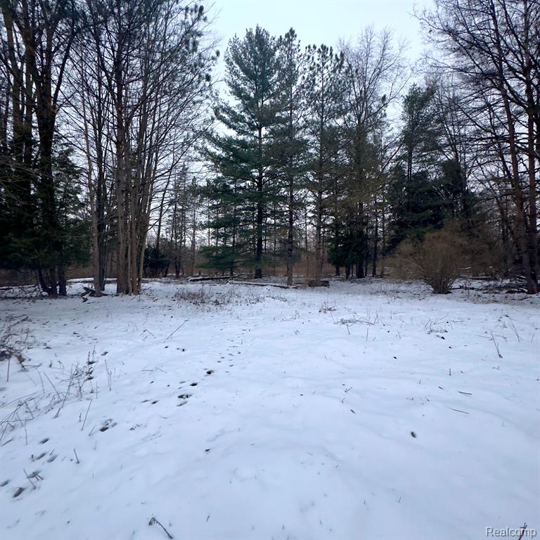 14108 SHERIDAN Road, Montrose, MI 48457 — Photo 12