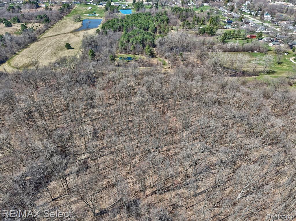 3309 S Vassar Road, Davison, MI 48423 — Photo 41