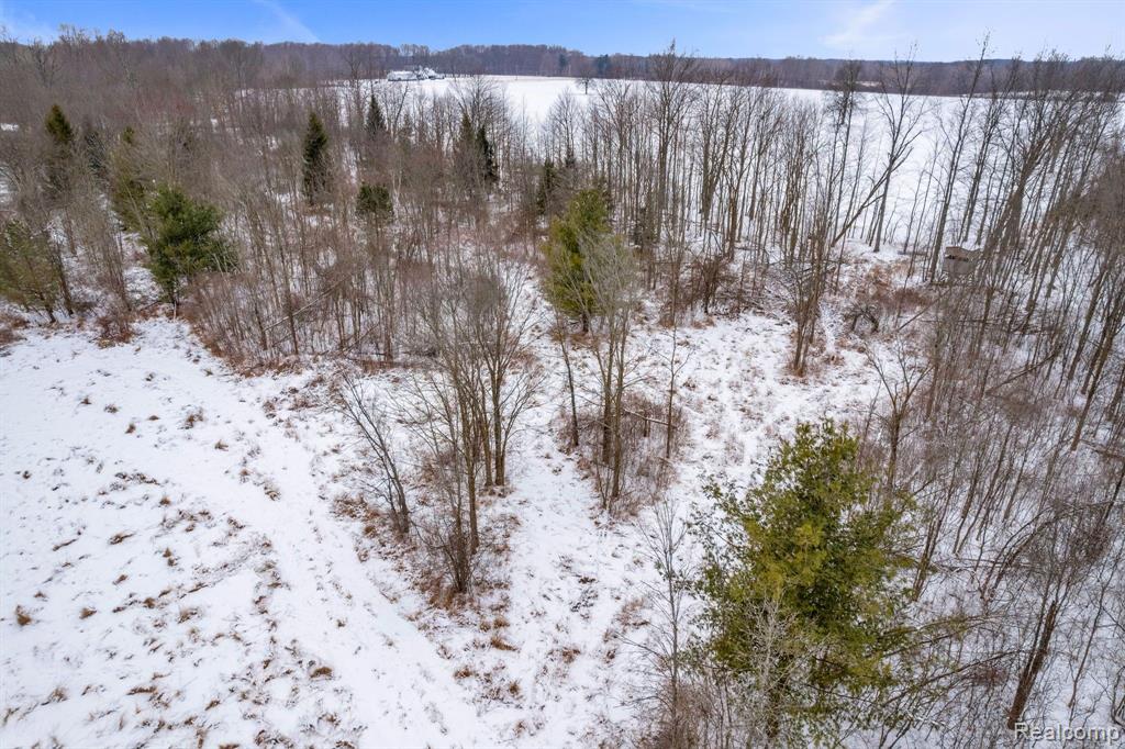 4713 BROWN Road, Kenockee, MI 48006 — Photo 59