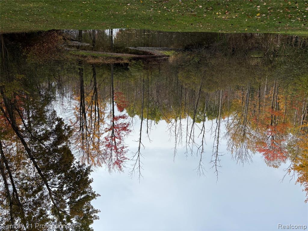 Pond Water view in front of house with a heavily wooded area