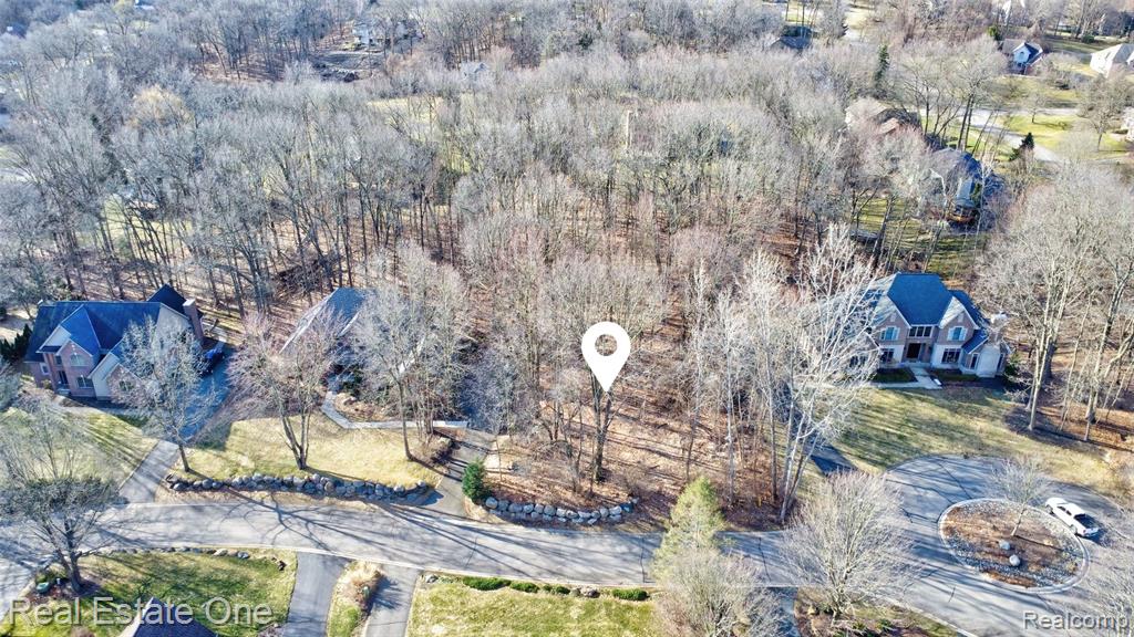 9889 Kingston Ridge, Clarkston, MI 48348 — Photo 6