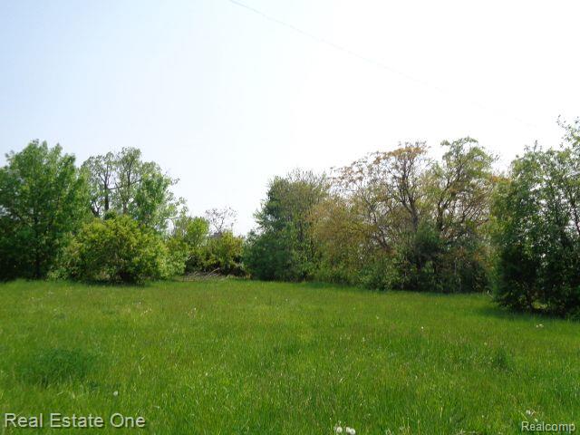 1051 CONCORD Street, Detroit, MI 48207 — Photo 6