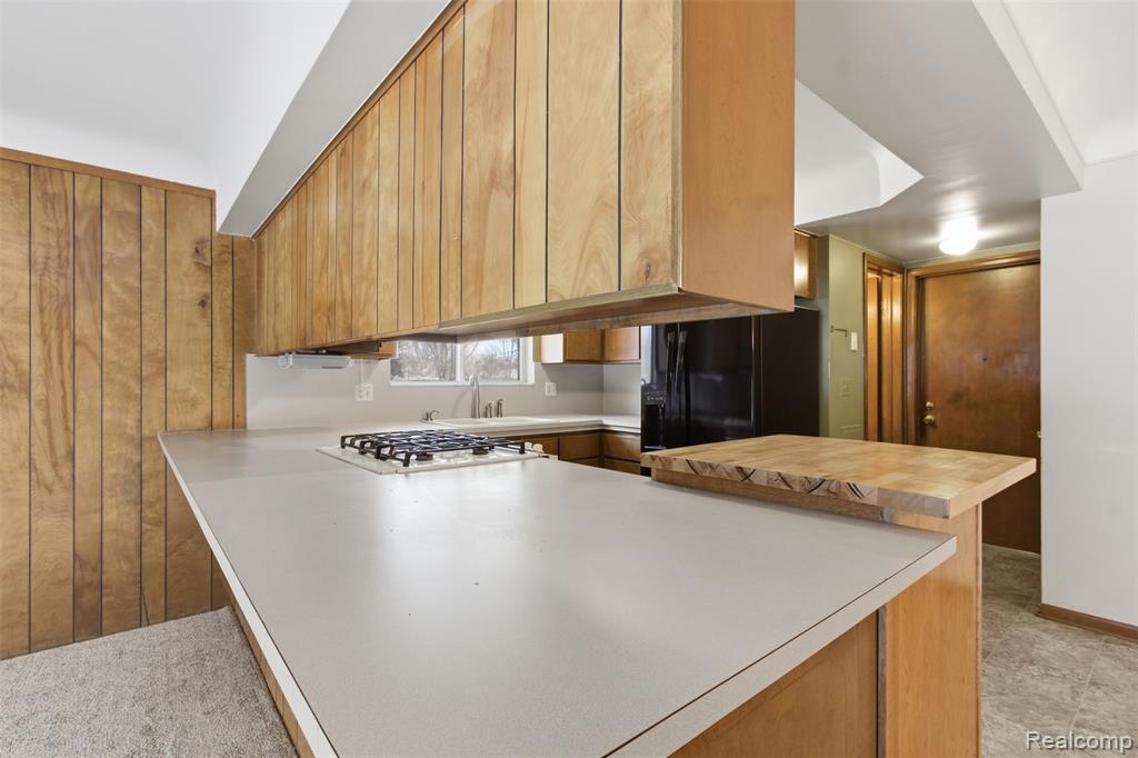 6525 Norton Drive, Troy, MI 48085 — Photo 13