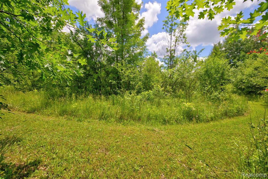 5244 Oleksyn Road, Flint, MI 48504 — Photo 61