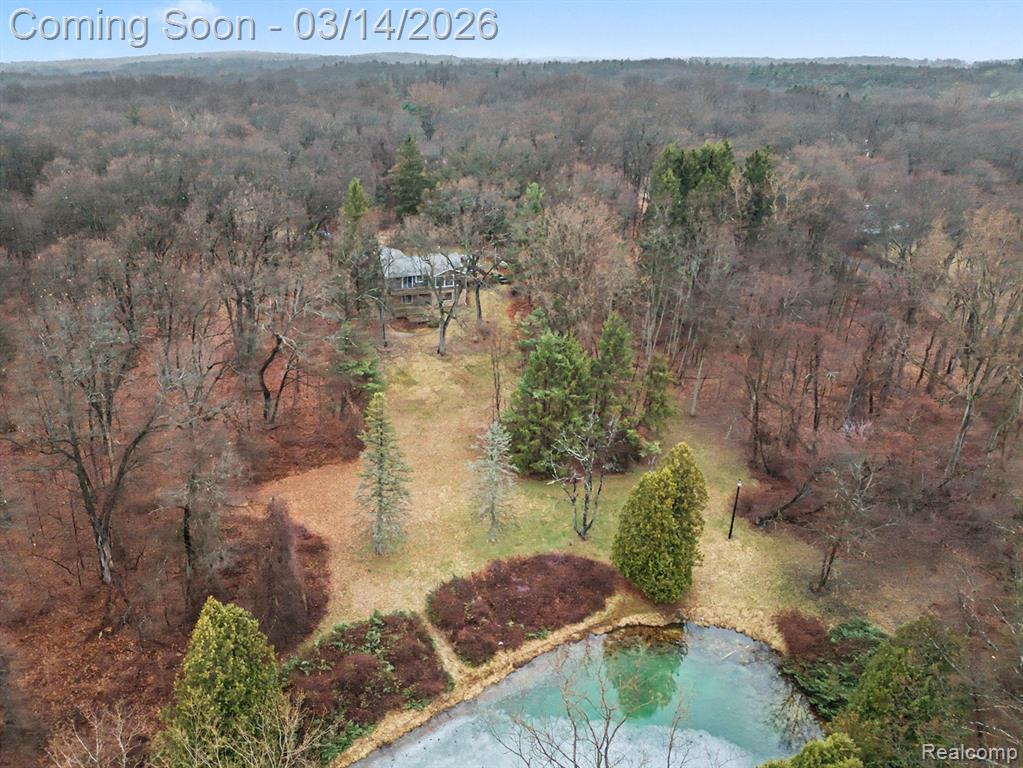 1380 Kent Road, Ortonville, MI 48462 — Photo 44