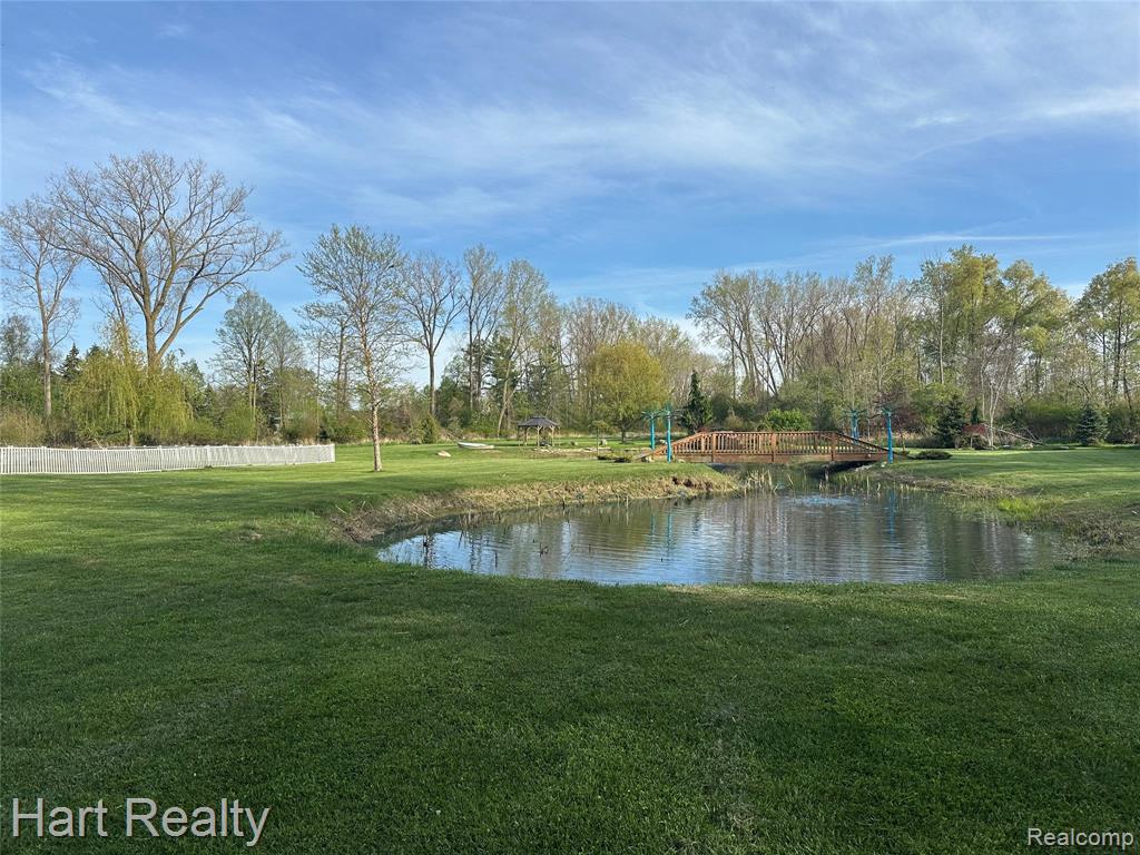 7982 Heinemann Road, MI — Photo 4