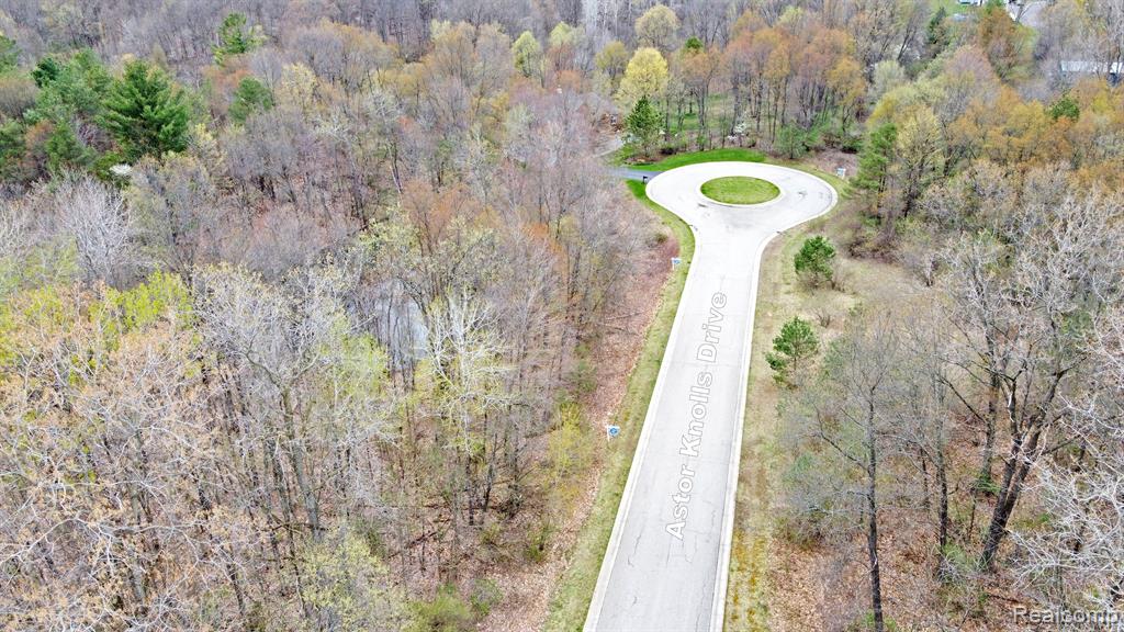 503 BLUEBIRD Trail, Ortonville, MI 48462 — Photo 9