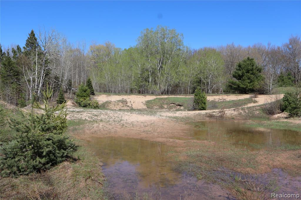 5575 E 26 Mile Road, Pickford, MI 49774 — Photo 4