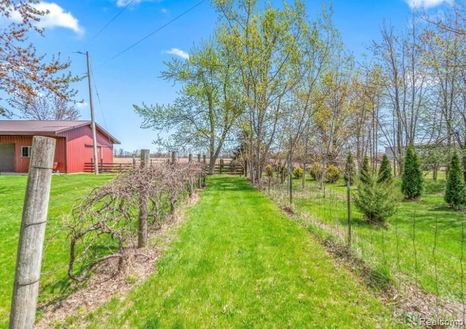 8531 S Waldron Road, Pittsford, MI 49271 — Photo 27