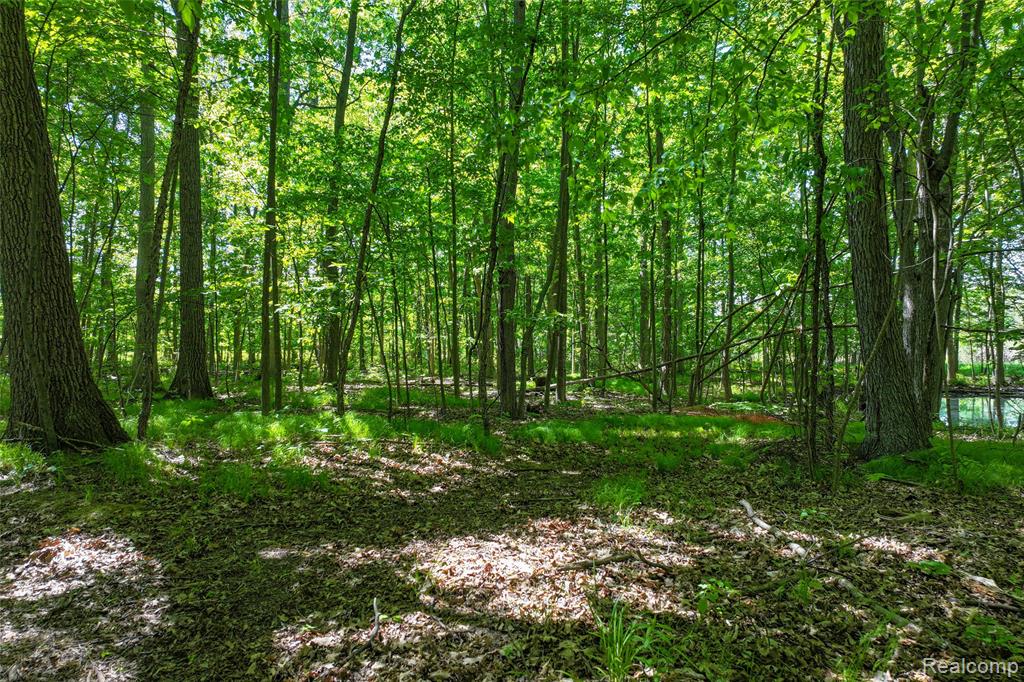 3075 Crandall Road, Howell, MI 48855 — Photo 19