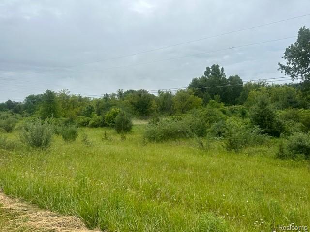 10.63(+/-) Acres Lapeer Road, Davison, MI 48423