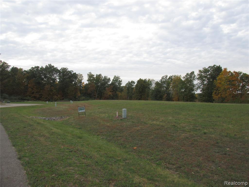 123 BLOOMFIELD LOT#39 Boulevard, Brooklyn, MI 49230 — Photo 15