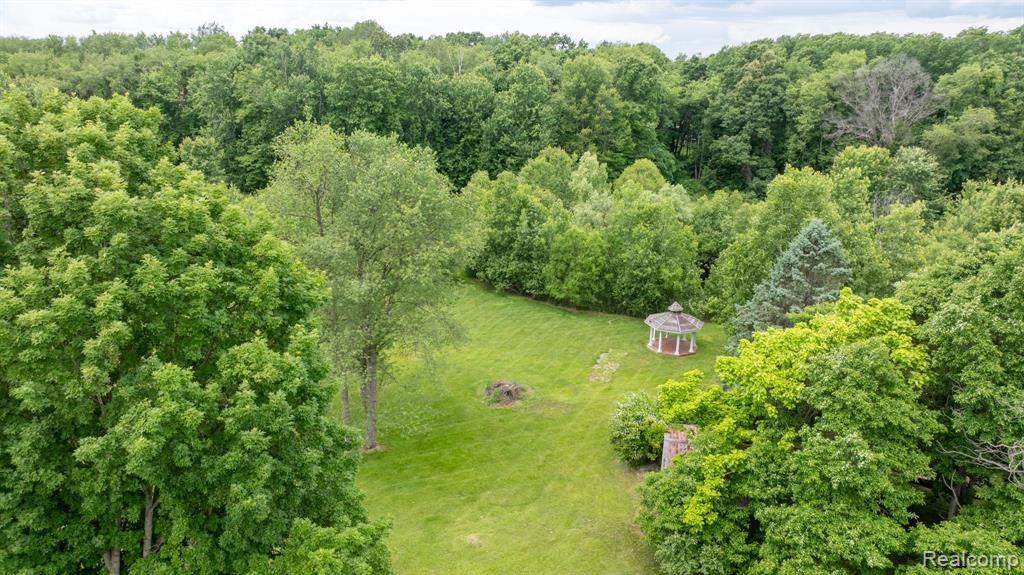 7333 Toma Road, Dexter, MI 48130 — Photo 5