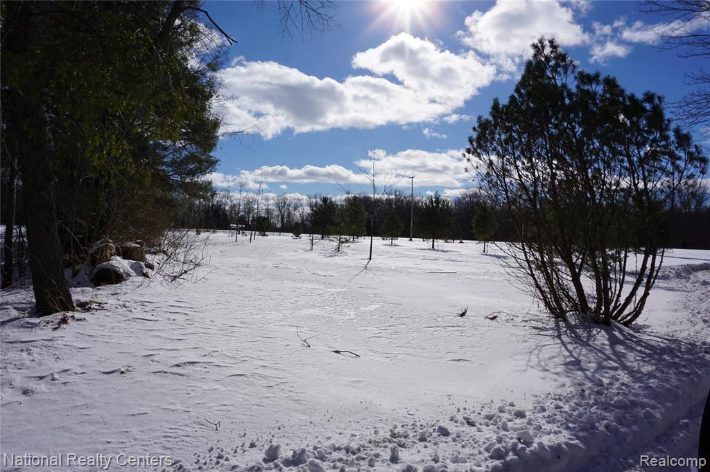 1495 Briggsville Road, Fowlerville, MI 48836 — Photo 40