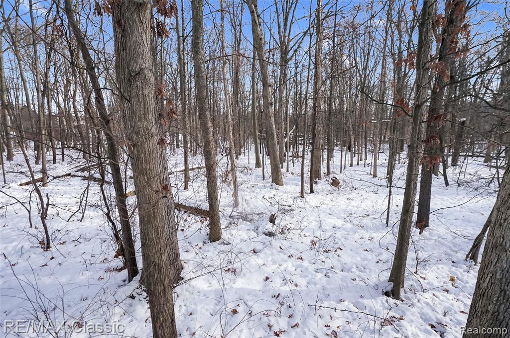 41498 Cornell Drive, Novi, MI — Photo 34
