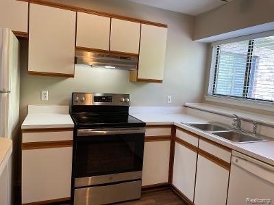 42715 LILLEY POINTE Drive, Canton, MI 48187 — Photo 11
